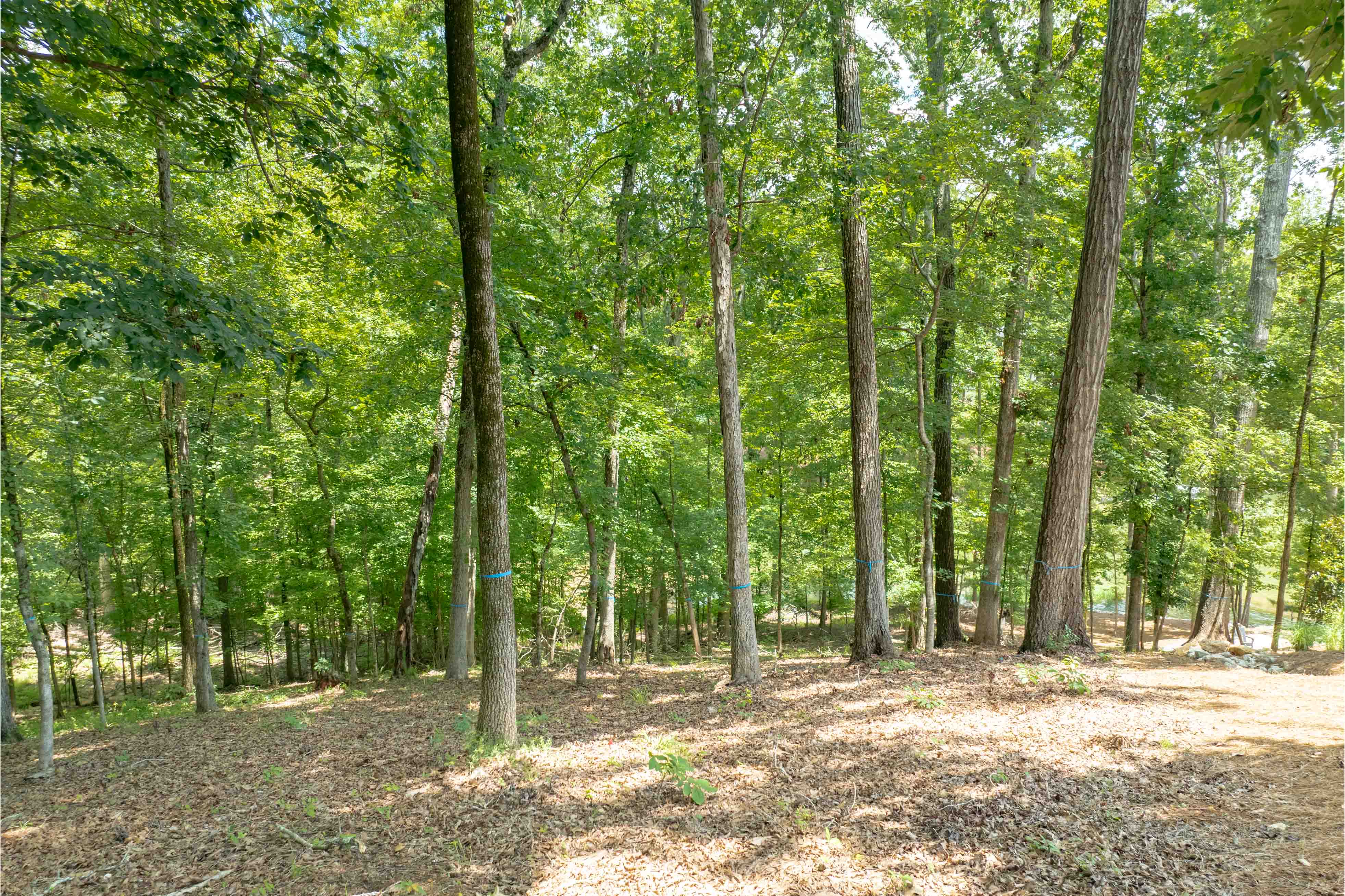 1100 High Bluff Lane image 8